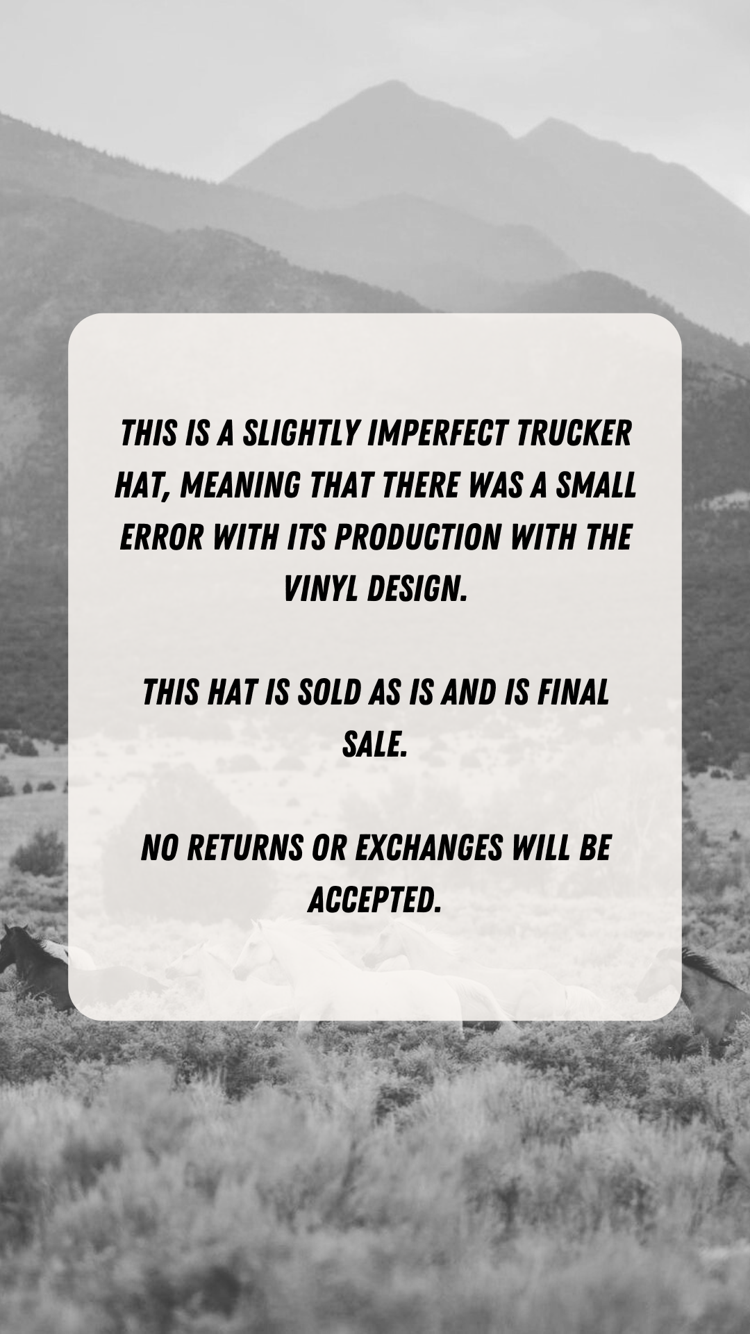 Slightly Imperfect Trucker Hat