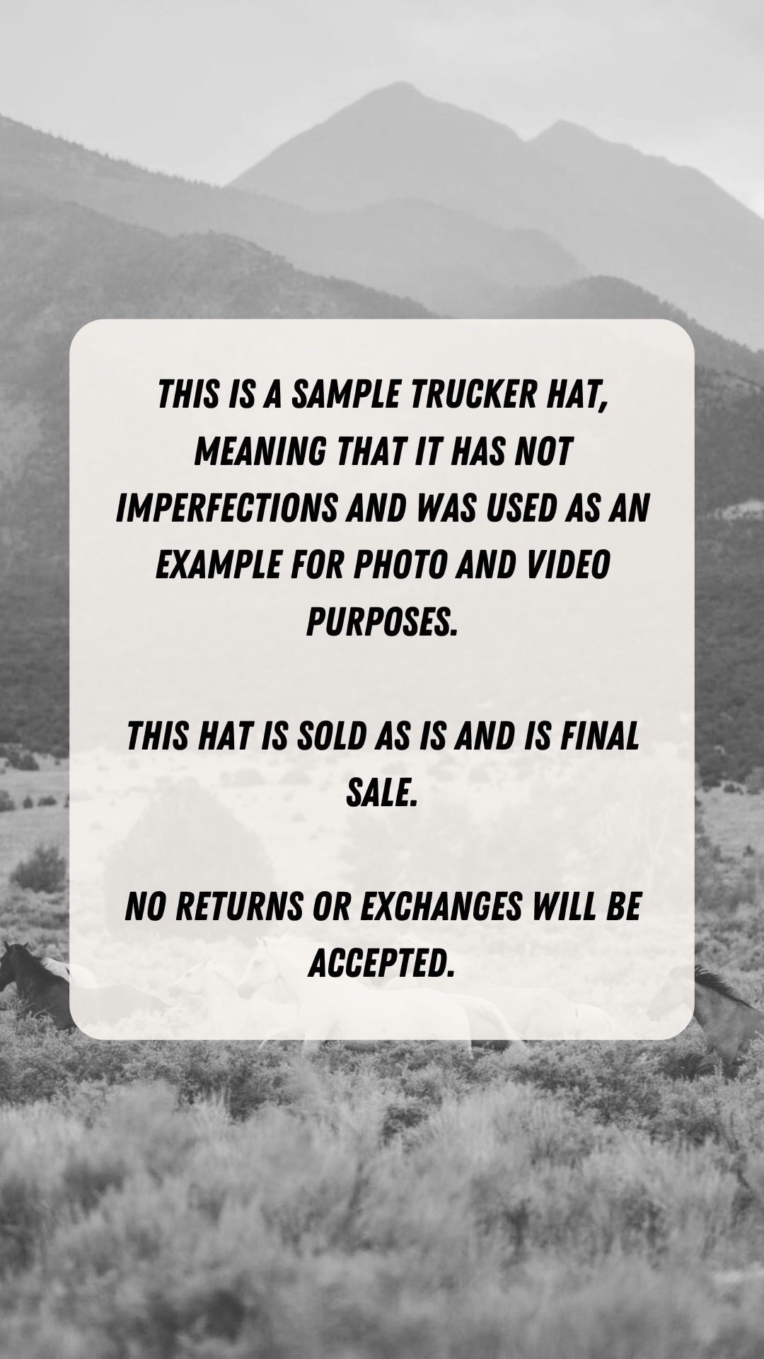 Sample Trucker Hat